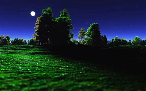 Night Moon Trees Grass Nature Wallpaper Nature And Landscape