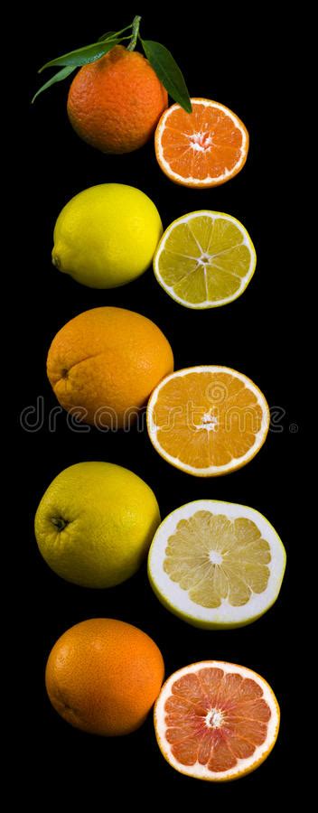 Citrus Fruits Collection Stock Photo Image Of Diet Citric 28192754
