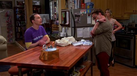 Recap Of The Big Bang Theory Season 8 Recap Guide