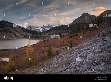 Og Lake Against Assiniboine Peak Autumn Canadian Rocky Mountains