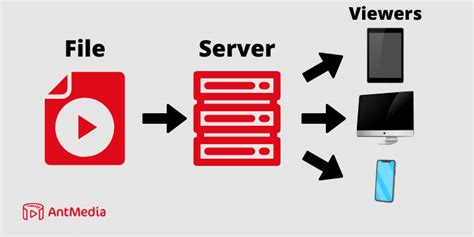 How To Make A Video Streaming Server In 5 Steps Easy Guide