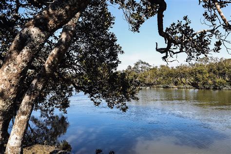 From Struggles to Success: The Inspiring Journey of James – Outwest