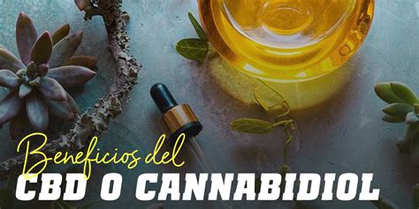 CBD O Cannabidiol Beneficios Para La Salud HSN Blog