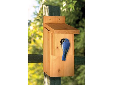 7 free bluebird house plans. Bluebird House Woodworking Plan 097D-0026 | House Plans ...