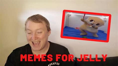 memes for jelly fan made reaction youtube