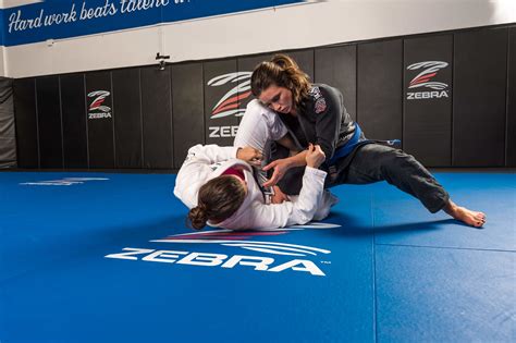 Making Sense Of The Most Important Jiu Jitsu Positions Bjj World