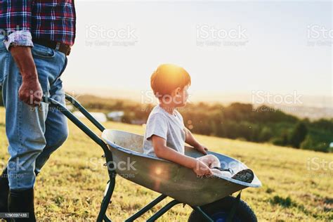 Boy Sitting In Wheelbarrows At Sunset Stock Photo Download Image Now