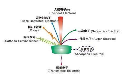 能量色散x射线谱仪（eds） 材料测试 科学指南针