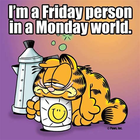 Friday Person Morning Humor Monday Humor Garfield Quotes