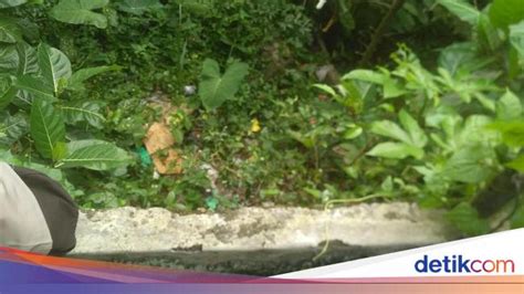 Diduga Dibuang Bayi Perempuan Ditemukan Di Bawah Tebing Kota Bogor
