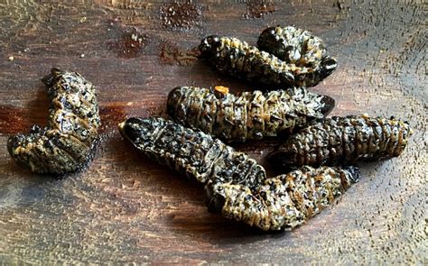 Anyway, so these hereros ended up in cameroon as prisoners of war mostly. Namibian cuisine in Namibia | United Nations of Food (NYC)