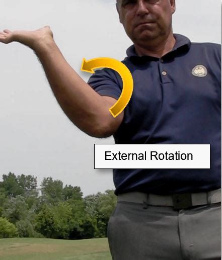 Understanding Shoulder Rotations
