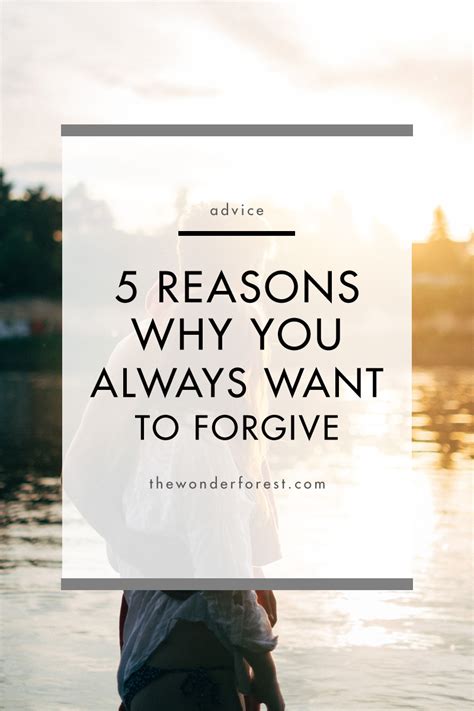 5 Reasons You Should Always Forgive Wonder Forest