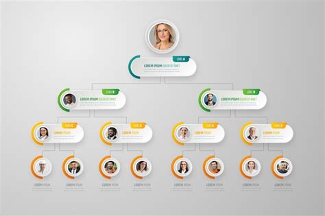 Free Vector Paper Style Organizational Chart Infographic With Photo