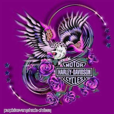 Purple Harley Davidson Artwork Harley Davidson Wallpaper Harley