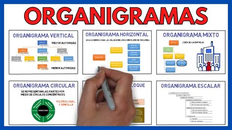 Organigramas clasificación y ejemplos de los tipos más utilizados