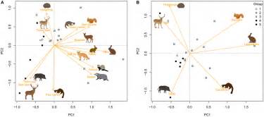 Frontiers Quantifying The Availability Of Vertebrate Hosts To Ticks