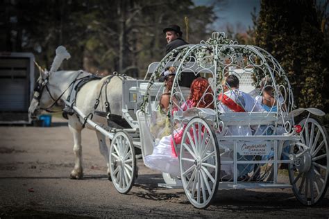 Our Unicorn Horse Pulling Our Cinderella Pumpkin Carriage Full Of