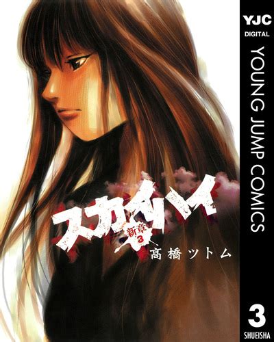 スカイハイ・新章 3／高橋ツトム 集英社コミック公式 S Manga