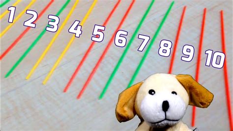 Excite Dog Counts With Kerplunk Youtube