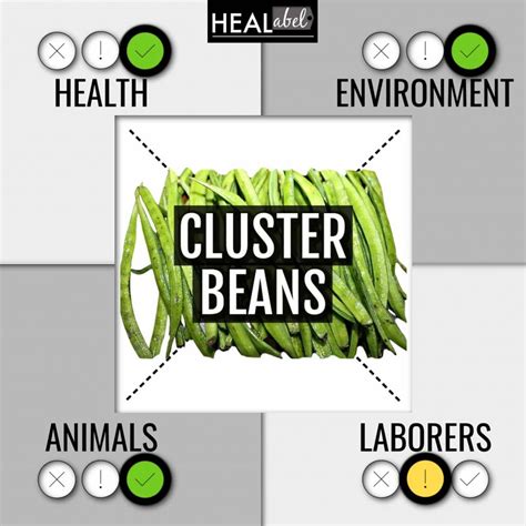 Cluster Beans Benefits Side Effects Advantages Disadvantages