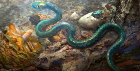99 Million Year Old Snake Hatchling Found Encased In Burmese Amber