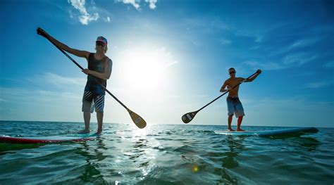 1 Hour Miami Beach Stand Up Paddleboard Rental In Miami Book Tours