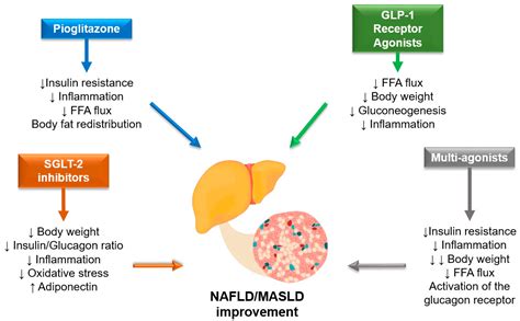 Jcm Free Full Text Nonalcoholic Fatty Liver Disease In Patients