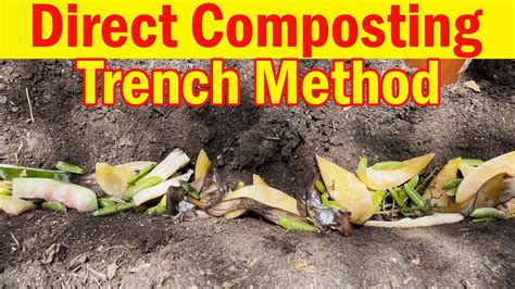 How To Compost Direct Composting Trench Method And Compost Piles