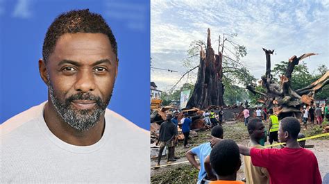 The Roots Remain Idris Elba Reacts To Fall Of Freetowns Cotton Tree