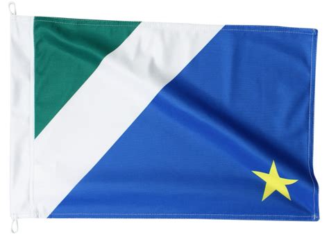Bandeira De Mato Grosso Do Sul