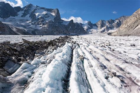 Forno Glacier By Dr Juerg Aleanscience Photo Library