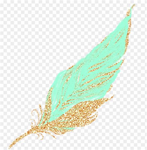 Feathers Feather Pastel Golden Gold Glitter Teal Mintgr Feather Png