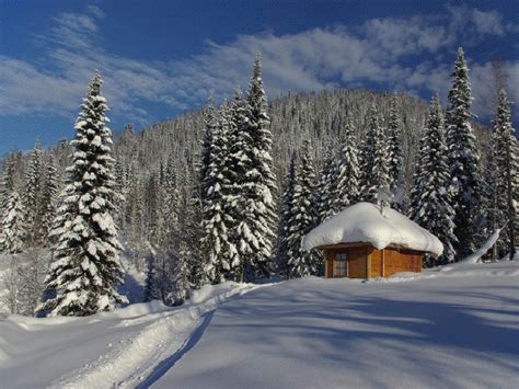 Peisaje Superbe De Iarna Tot Ce Trebuie Sa Stii