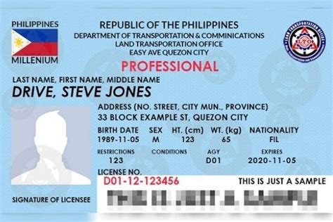 Heres Your Guide To Professional Drivers License Requirements In 2021