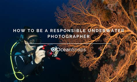 How To Be A Responsible Underwater Photographer Oceansnaps