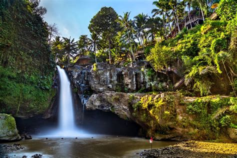 Must Visit Attractions In Ubud Bali