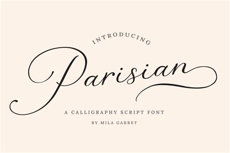 Parisian Vintage Calligraphy Script Script Fonts Creative Market