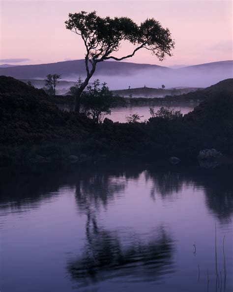 Rannoch Moor Tree Ive Uploaded The Digital Version Of Thi Flickr