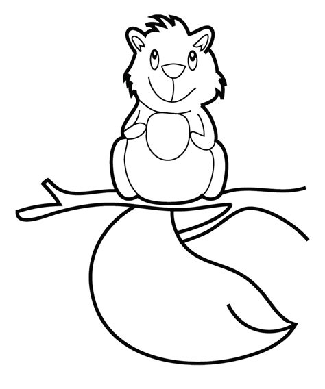Flying Squirrel Coloring Page - Cliparts.co
