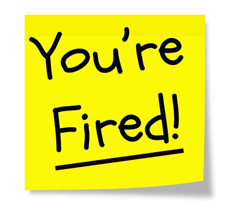 Youre Fired Official Site Dan Miller