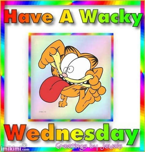 Have A Wacky Wednesday Quotes Quote Garfield Wednesday Hump Day Wednesday Quotes Happy Wednesday