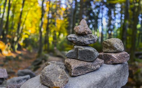 Autumn Jungle Stacked Rock 4k Hd Photo Preview