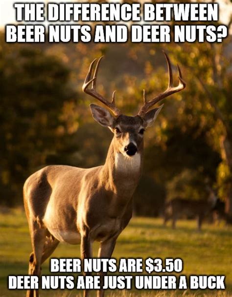 Girl Hunting Quotes Hunting Quotes Funny Deer Hunting Humor Hunting