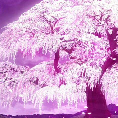10 Most Popular Cherry Blossom Tree Anime Wallpaper Full