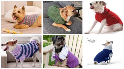 Free Dog Sweater Crochet Patterns Psychedelic Doilies