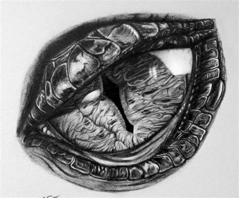 Smaug Eye Drawing Tatuagem Olho Olhos De Dragão Arte Olho