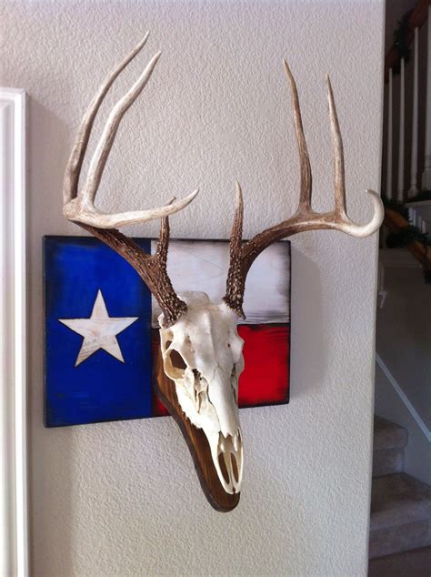 Pin By Garrett Gunn On European Mount Deer Skull Decor Deer Antler