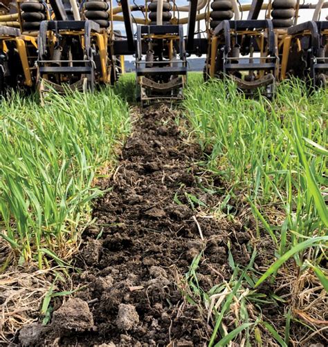 Boosting Soil Function By Adding Cover Crops In A Strip Till System