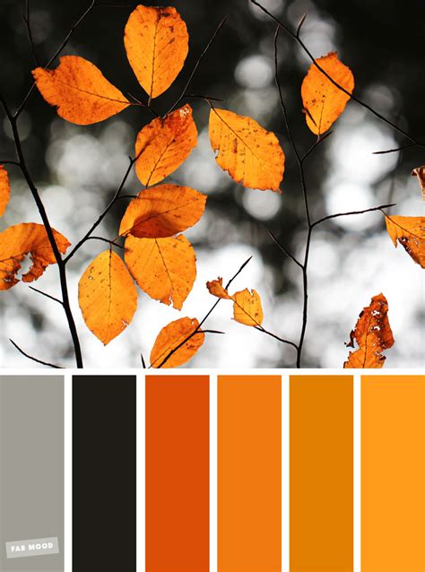 59 Pretty Autumn Color Schemes Burnt Orange Autumn Leaves